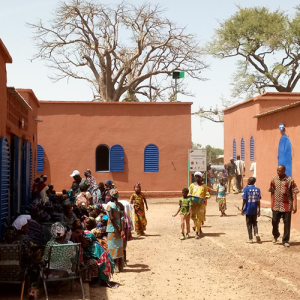 Zone d'Activités Electrifiée (ZAE) de Konséguéla (Mali)