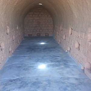 Inside a NV Chicken House